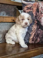 processed/7033d817-b1c3-404e-b0ee-821d867da6a7/listing/a0566cff-b97b-498b-abff-3224e52a7c70/e2310bee-a915-42d8-93ec-430602514dc2