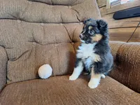 processed/7033d817-b1c3-404e-b0ee-821d867da6a7/listing/dc01c1fb-647f-46f9-b9b3-05e61e911daf/251a8154-b273-4bab-ad09-364f8eedc0a6