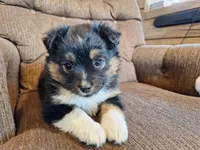 processed/7033d817-b1c3-404e-b0ee-821d867da6a7/listing/dc01c1fb-647f-46f9-b9b3-05e61e911daf/260c9d2e-f23b-454d-9c79-0af0c33b832a