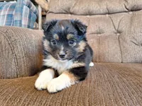 processed/7033d817-b1c3-404e-b0ee-821d867da6a7/listing/dc01c1fb-647f-46f9-b9b3-05e61e911daf/a56a4a71-9b4c-4636-a09a-9945915784f1