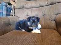 processed/7033d817-b1c3-404e-b0ee-821d867da6a7/listing/dc01c1fb-647f-46f9-b9b3-05e61e911daf/adf62aa0-a16e-4a84-9959-444e7615f915