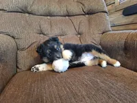 processed/7033d817-b1c3-404e-b0ee-821d867da6a7/listing/dc01c1fb-647f-46f9-b9b3-05e61e911daf/b0ff34e2-aa65-47e4-af27-dc1ce3e0423c