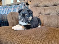 processed/7033d817-b1c3-404e-b0ee-821d867da6a7/listing/dc01c1fb-647f-46f9-b9b3-05e61e911daf/be9470db-4328-417c-948d-66c07302e468