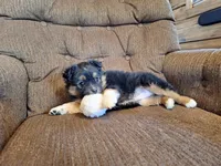 processed/7033d817-b1c3-404e-b0ee-821d867da6a7/listing/dc01c1fb-647f-46f9-b9b3-05e61e911daf/dede2ea4-e828-45d4-8231-ef278f405fa7