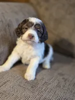 processed/7033d817-b1c3-404e-b0ee-821d867da6a7/listing/f3ffdef6-8299-4064-a785-941aec42fefd/11241fe5-074c-4a84-8fb7-53eb51955383