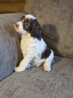 processed/7033d817-b1c3-404e-b0ee-821d867da6a7/listing/f3ffdef6-8299-4064-a785-941aec42fefd/4bb6a932-cabe-4d18-adf7-2666340cd073