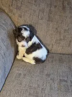 processed/7033d817-b1c3-404e-b0ee-821d867da6a7/listing/f3ffdef6-8299-4064-a785-941aec42fefd/531b3fc1-3552-47c5-b4e2-458a672f2f3a