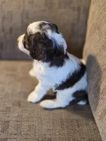 processed/7033d817-b1c3-404e-b0ee-821d867da6a7/listing/f3ffdef6-8299-4064-a785-941aec42fefd/5640cfc5-08c9-45d9-9a77-47b015830c4f