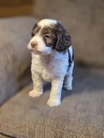 processed/7033d817-b1c3-404e-b0ee-821d867da6a7/listing/f3ffdef6-8299-4064-a785-941aec42fefd/58fb0134-907d-4b46-b248-85db24e4bc5e