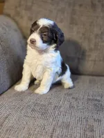 processed/7033d817-b1c3-404e-b0ee-821d867da6a7/listing/f3ffdef6-8299-4064-a785-941aec42fefd/71b05eb1-67bf-428e-8483-7cfceee11255