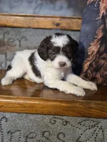 processed/7033d817-b1c3-404e-b0ee-821d867da6a7/listing/f3ffdef6-8299-4064-a785-941aec42fefd/89791d9a-231d-4090-8fe3-9f2beb9ab6f3