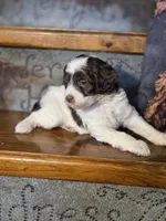 processed/7033d817-b1c3-404e-b0ee-821d867da6a7/listing/f3ffdef6-8299-4064-a785-941aec42fefd/f6134c99-865f-47c2-90c4-322a497bfd08