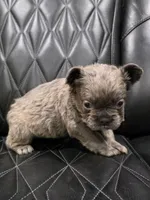 processed/7037ee1f-49a8-43ef-baec-ccb3a8f31a3d/listing/35df2d08-cba2-4aca-9a0c-f54ede4c4c65/0cff2911-9fad-445a-9450-0dde3e37870a