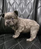 processed/7037ee1f-49a8-43ef-baec-ccb3a8f31a3d/listing/35df2d08-cba2-4aca-9a0c-f54ede4c4c65/1c8330a3-f10d-47e4-b508-c1403b0ba802