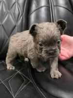 processed/7037ee1f-49a8-43ef-baec-ccb3a8f31a3d/listing/35df2d08-cba2-4aca-9a0c-f54ede4c4c65/31a81277-5757-4a09-b262-99d83c45e324