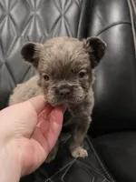 processed/7037ee1f-49a8-43ef-baec-ccb3a8f31a3d/listing/35df2d08-cba2-4aca-9a0c-f54ede4c4c65/6c02e3b0-be92-4038-a2f1-fda5f8c9f002