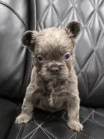 processed/7037ee1f-49a8-43ef-baec-ccb3a8f31a3d/listing/35df2d08-cba2-4aca-9a0c-f54ede4c4c65/6f8cc3db-c13e-4820-b7de-b54a6cd8af59