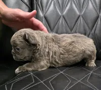 processed/7037ee1f-49a8-43ef-baec-ccb3a8f31a3d/listing/35df2d08-cba2-4aca-9a0c-f54ede4c4c65/aa99ecf9-9c39-46d1-9c61-f91e5faaec61