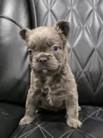 processed/7037ee1f-49a8-43ef-baec-ccb3a8f31a3d/listing/35df2d08-cba2-4aca-9a0c-f54ede4c4c65/c5b56e50-5002-4470-81e2-d935019b9dd2