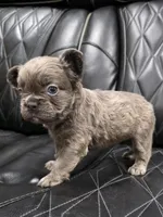 processed/7037ee1f-49a8-43ef-baec-ccb3a8f31a3d/listing/35df2d08-cba2-4aca-9a0c-f54ede4c4c65/dbaac4ef-79fa-47ff-90c6-83335ea0aef1