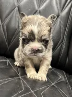 processed/7037ee1f-49a8-43ef-baec-ccb3a8f31a3d/listing/551e4d5a-4de4-470f-b78d-b1d842013476/25e38698-6276-45c0-9028-3aefca69d3bd