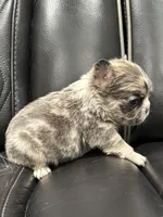 processed/7037ee1f-49a8-43ef-baec-ccb3a8f31a3d/listing/551e4d5a-4de4-470f-b78d-b1d842013476/27f02bff-a74a-4f8d-bf04-6fe184920c80