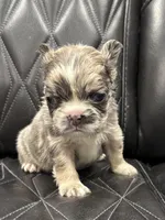 processed/7037ee1f-49a8-43ef-baec-ccb3a8f31a3d/listing/551e4d5a-4de4-470f-b78d-b1d842013476/432a574b-9088-4323-8b6f-feefb907a503