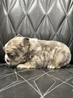 processed/7037ee1f-49a8-43ef-baec-ccb3a8f31a3d/listing/551e4d5a-4de4-470f-b78d-b1d842013476/44dc430f-198d-4e48-b1f2-9abf4fe99beb