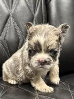 processed/7037ee1f-49a8-43ef-baec-ccb3a8f31a3d/listing/551e4d5a-4de4-470f-b78d-b1d842013476/89dc8c3d-0471-447f-a954-132caee3f5e3