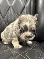 processed/7037ee1f-49a8-43ef-baec-ccb3a8f31a3d/listing/551e4d5a-4de4-470f-b78d-b1d842013476/9f5188fa-2316-45ad-96a6-f16636649377