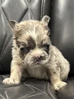 processed/7037ee1f-49a8-43ef-baec-ccb3a8f31a3d/listing/551e4d5a-4de4-470f-b78d-b1d842013476/e75c3f2e-898b-48fb-b1c0-3f4a3cad7ff2