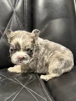 processed/7037ee1f-49a8-43ef-baec-ccb3a8f31a3d/listing/551e4d5a-4de4-470f-b78d-b1d842013476/ea071a2d-b97f-4b87-9d34-9dbe26ab5b0a