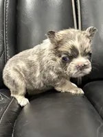 processed/7037ee1f-49a8-43ef-baec-ccb3a8f31a3d/listing/551e4d5a-4de4-470f-b78d-b1d842013476/ee82b836-68a7-438c-b55b-19c055af0777