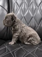 processed/7037ee1f-49a8-43ef-baec-ccb3a8f31a3d/listing/77fda4d0-adde-49a0-93cd-0f105f5cde65/420f0aef-ab4b-42af-8060-64c609182ed7