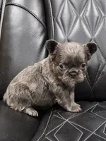 processed/7037ee1f-49a8-43ef-baec-ccb3a8f31a3d/listing/77fda4d0-adde-49a0-93cd-0f105f5cde65/4f439f98-5984-40e3-9667-b562d7e9b647