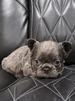 processed/7037ee1f-49a8-43ef-baec-ccb3a8f31a3d/listing/77fda4d0-adde-49a0-93cd-0f105f5cde65/995bd9bd-6d42-4eb6-a9fa-865535320099