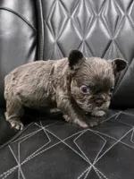 processed/7037ee1f-49a8-43ef-baec-ccb3a8f31a3d/listing/77fda4d0-adde-49a0-93cd-0f105f5cde65/b21a7132-b587-43ec-86ca-a3bd3de1c63d