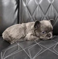 processed/7037ee1f-49a8-43ef-baec-ccb3a8f31a3d/listing/77fda4d0-adde-49a0-93cd-0f105f5cde65/b4c3efc8-59a3-47f0-872b-6dcafd32cd86