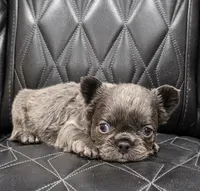 processed/7037ee1f-49a8-43ef-baec-ccb3a8f31a3d/listing/77fda4d0-adde-49a0-93cd-0f105f5cde65/d9a24b22-7a11-43ce-8cbc-b8341d1708b6