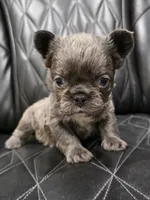 processed/7037ee1f-49a8-43ef-baec-ccb3a8f31a3d/listing/77fda4d0-adde-49a0-93cd-0f105f5cde65/da2d5819-051d-4bdf-9bec-4bd8001ac34d