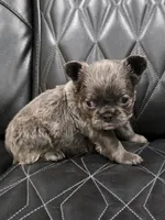 processed/7037ee1f-49a8-43ef-baec-ccb3a8f31a3d/listing/77fda4d0-adde-49a0-93cd-0f105f5cde65/f9e52e01-3956-48f0-b975-e01a6b3e1a2d