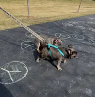 processed/7042835a-1536-445b-8e4c-503d692d5db1/listing/7db58c2e-ed59-4139-9620-67566db4dca2/46fadfc3-a52e-4717-b6f8-2f9d8218aa0c