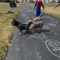 processed/7042835a-1536-445b-8e4c-503d692d5db1/listing/7db58c2e-ed59-4139-9620-67566db4dca2/613f304b-092a-4de4-b918-43906117a8db