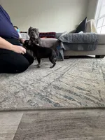 processed/7042835a-1536-445b-8e4c-503d692d5db1/listing/d266e71d-ab7d-4672-9a1e-432701296dd2/47e19031-210c-4735-83f9-919b0c4edab6