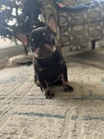 processed/7042835a-1536-445b-8e4c-503d692d5db1/listing/d266e71d-ab7d-4672-9a1e-432701296dd2/bb095f7a-6f13-4156-9f92-ad20f93fbcd8