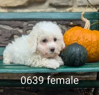 processed/704588db-dbd5-414c-9c0e-53aeddad23d3/listing/0736a8cc-01c4-4fb3-847d-24056aa981fa/0c903f56-4a08-4a3f-82ec-5bad607a750a