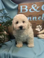 processed/704588db-dbd5-414c-9c0e-53aeddad23d3/listing/101cdd1c-8060-4b9d-8480-393338ef87f7/155b4009-a457-4608-9b3b-219c7745ad6d