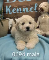 processed/704588db-dbd5-414c-9c0e-53aeddad23d3/listing/101cdd1c-8060-4b9d-8480-393338ef87f7/6fd1d9c3-f61a-4f3f-baf6-8ec0a1957284