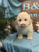 processed/704588db-dbd5-414c-9c0e-53aeddad23d3/listing/101cdd1c-8060-4b9d-8480-393338ef87f7/d47bec78-250f-460c-bc88-d207c8ee95ea