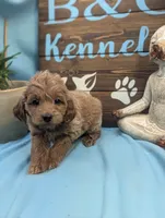 processed/704588db-dbd5-414c-9c0e-53aeddad23d3/listing/31e2bf25-473f-4bd2-9075-22ade1620884/4500a701-6c75-4cb1-94d8-0b00a6909deb